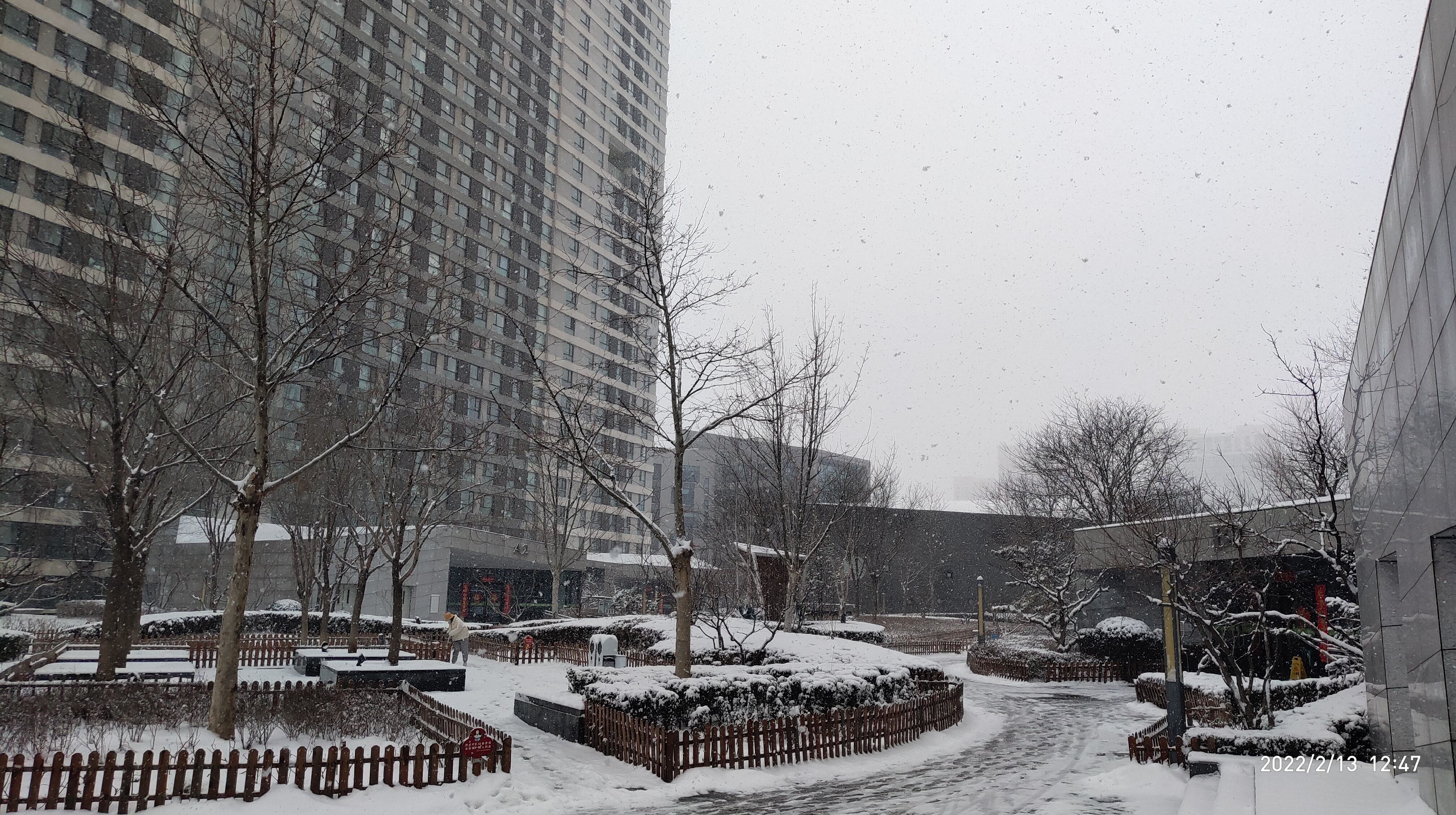 北京下雪啦！